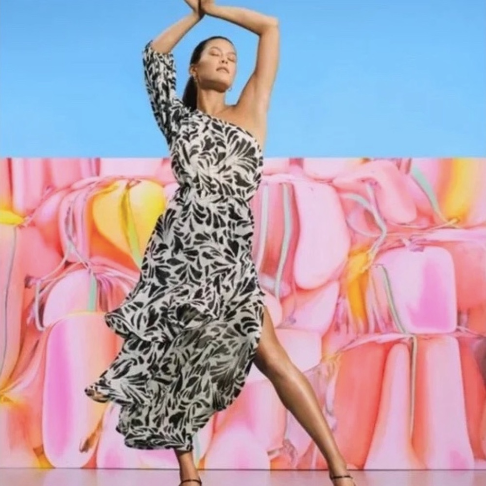 NWT ALEXIS x Target Botanical One Shoulder Ruffle Dress